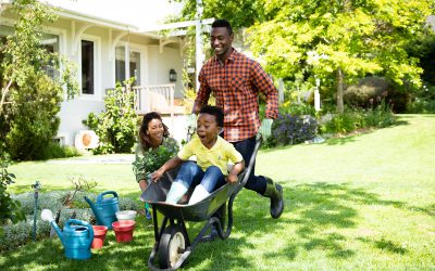 Summer Home Maintenance Tips: Seasonal Advice for Homeowners