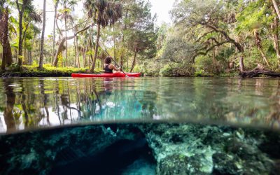 Discover the Best Florida Natural Springs